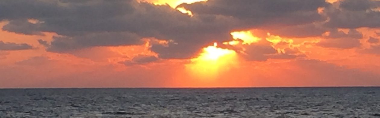 No More Little Piggies